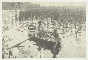 Waterlelies verzamelen door Peter Henry Emerson