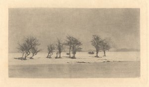 Knoestige Doornbomen door Peter Henry Emerson