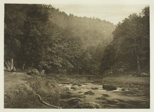 In Dove Dale (kant van Staffordshire)