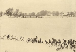 Moeras Onkruid door Peter Henry Emerson
