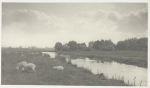 Op de rivier de Bure door Peter Henry Emerson