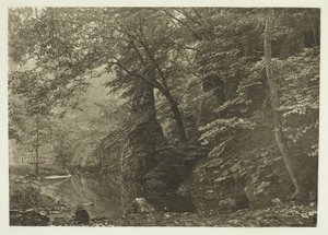 "Snoekenpoel" (van onderen) door Peter Henry Emerson