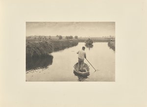 Het moerashooi kwantificeren door Peter Henry Emerson