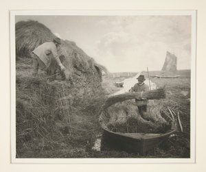 Riet harken