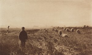 De Moerassen in Juni door Peter Henry Emerson