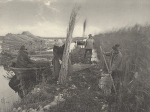 Tijdens de rietoogst door Peter Henry Emerson and T.F. Goodall