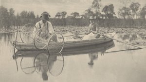 Het plaatsen van het striknet door Peter Henry Emerson and T.F. Goodall