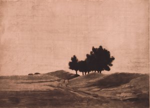 Avondlandschap