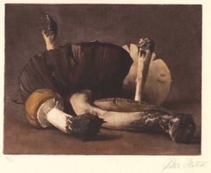 Gele champignon door Peter Vilhelm Ilsted