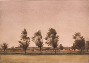 Landschap van Falster