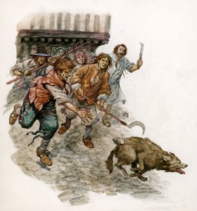 Een wilde hond door de straten achtervolgen