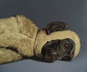 Aap Stilleven