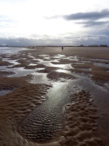 Laag tij Hartlepool, 2016 door Peter McClure