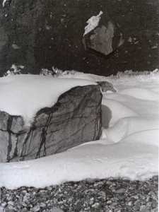 Vintage zwart-wit foto nr. 3, 1985 door Peter McClure