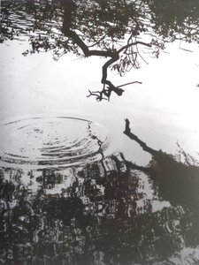 Vintage zwart-wit foto nr. 5, 1986 door Peter McClure
