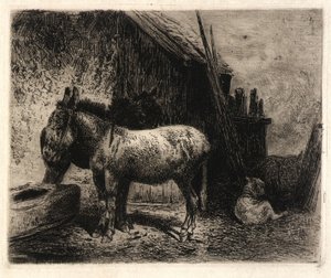(Ezels en schapen)