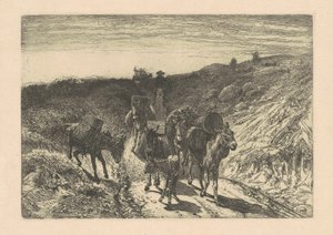 De Burrow-trein, New Mexico