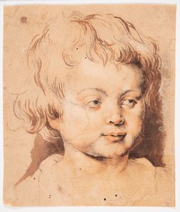  door Peter Paul Rubens