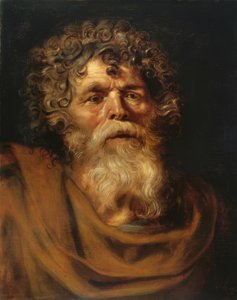 Portret van een bebaarde oude man door Peter Paul Rubens