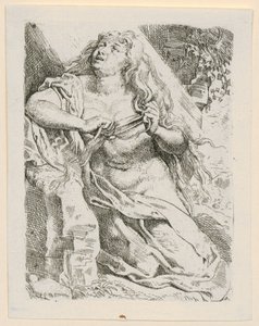  door Peter Paul Rubens