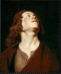 De evangelist Johannes