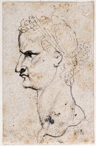 Gaius Caligula, uit tien tekeningen van acht van de eerste twaalf Caesars, naar de medailles van Giovanni da Cavino door Peter Paul Rubens