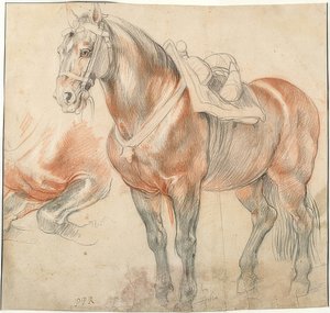 Gezadeld paard. Om 1615-18