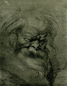 Hoofdstudie voor Bacchus door Peter Paul Rubens