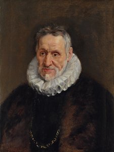 Portret van een Bebaarde Man