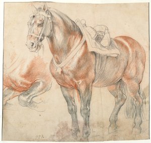 Gezadeld paard, c. 1616-1618