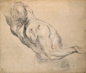 Studie van een mannelijk naakt torso, 1600-1640