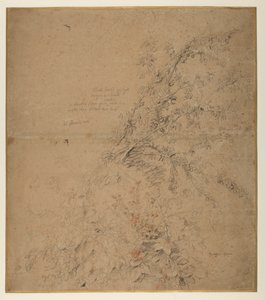 Studie van sleedoorn met braam en andere planten door Peter Paul Rubens