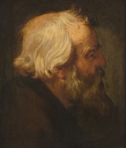 De apostel Petrus door Peter Paul Rubens