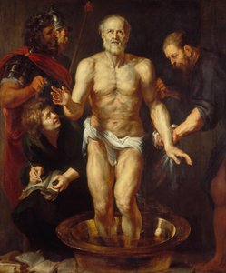  door Peter Paul Rubens
