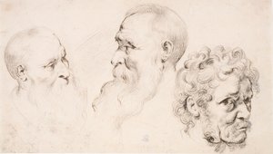  door Peter Paul Rubens