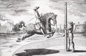 Een Paard en Capriole uit Nieuw Verhandeling voor het Fokken van Paarden geschreven door Winters, Stuterey en Reit-Schul, gegraveerd door de kunstenaar, uitgegeven 1672 door Peter Paul Troschel