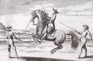 Illustratie van een paard en Croupade uit Nieuw Verhandeling voor het Fokken van Paarden geschreven door Winters, Stuterey en Reit-Schul, pub. 1672 door Peter Paul Troschel