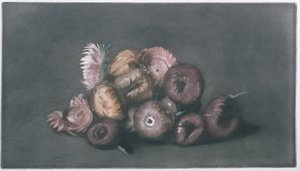 Stilleven van Gedroogde Bloemen door Peter Vilhelm Ilsted