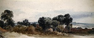 Een boslandschap met huisjes