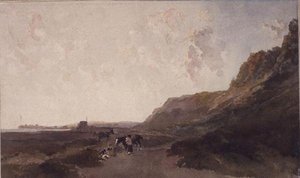 Kustlandschap