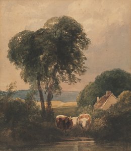 Welsh landschap met vee