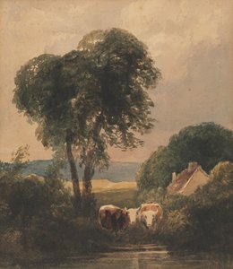 Welsh Landschap met Vee