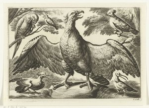 Arend Verschillende vogels (series title)