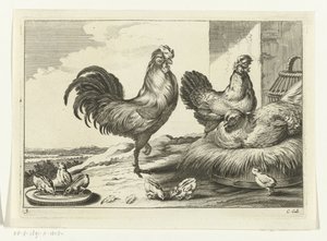 Kip, hanen en kuikens door Peter van Liesebetten