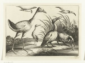 Watervogels door Peter van Liesebetten