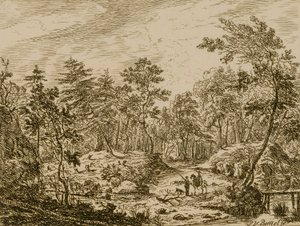Landschap
