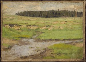 Landschap in de Zomer