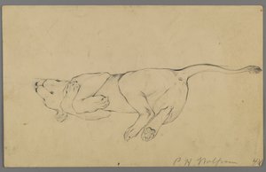 Slapende leeuwin door Philip H. Wolfrom