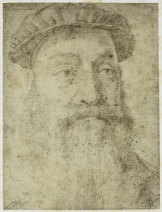 Foto van Bronzino