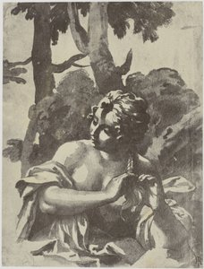 Netscher, Een meisje vlecht haar haar door Philip Henry Delamotte